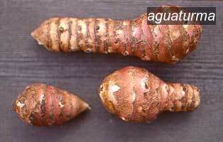aguaturma0