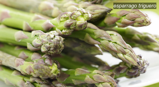 esparrago triguero0