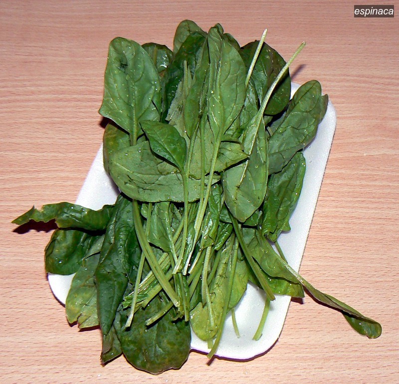 espinaca1
