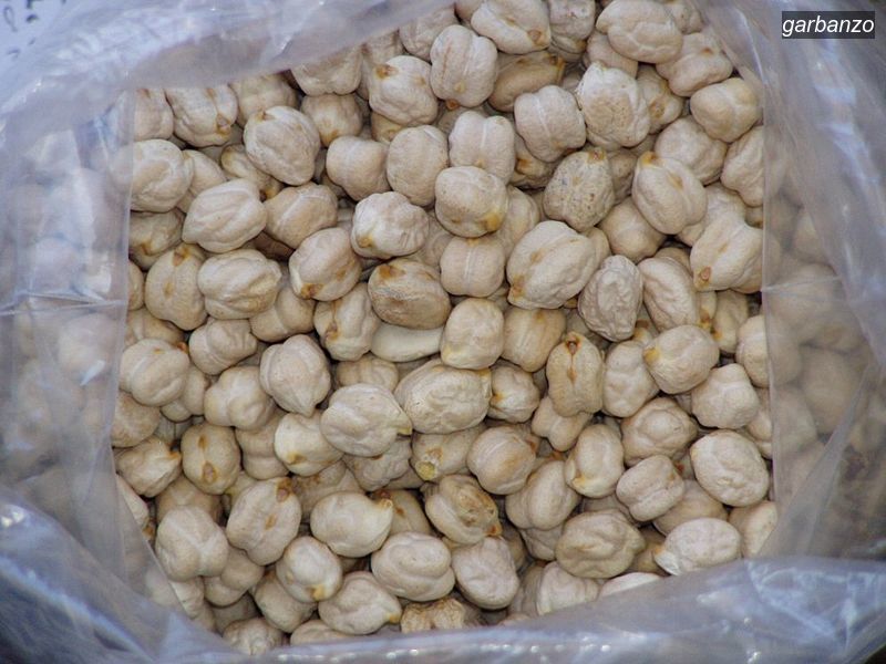 garbanzo1