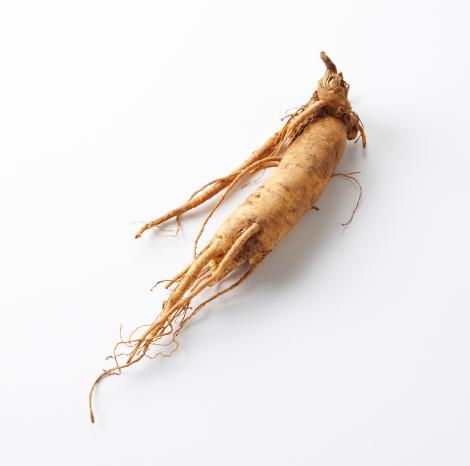 ginseng 02