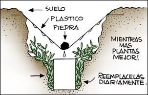 agua 0001