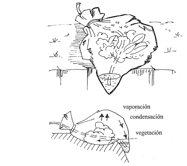agua 0013