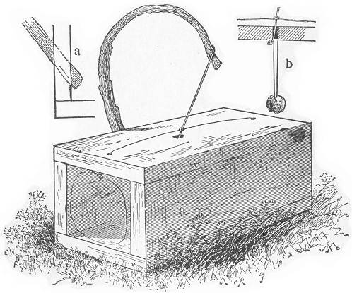 box 0003