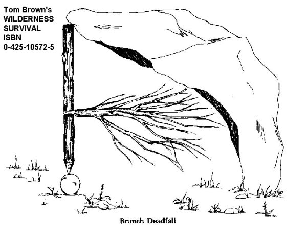 dead fall 0003