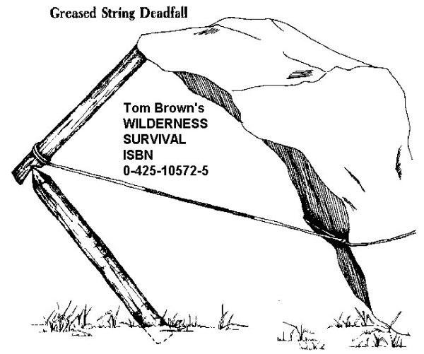 dead fall 0006