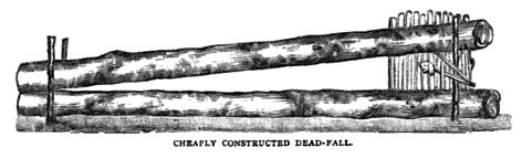 dead fall 0014