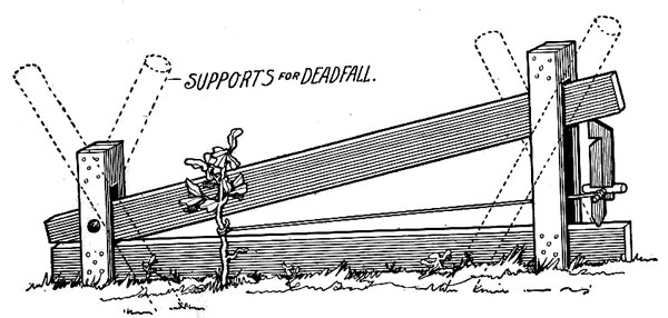 dead fall 0025