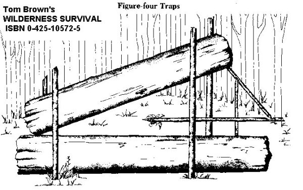 fig four 0002