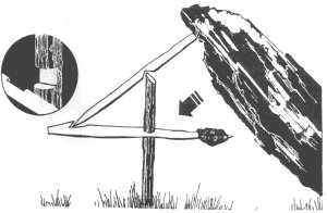 fig four 0010