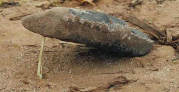 promontory peg 0002