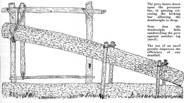 x0035
