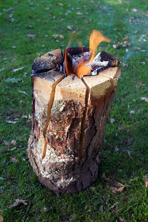 vertical log 0001