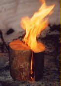 vertical log 0002