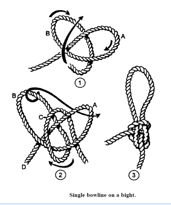 bulines bowline\_on a bight bulines bowline\_on a bight