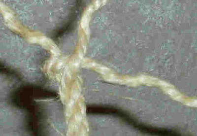 end split 01 end split 01
