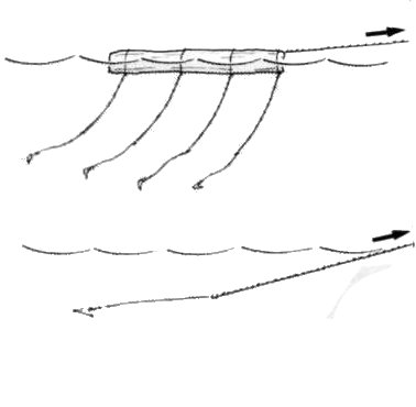 pesca 0014
