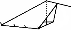 cono 02