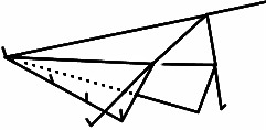 cono 03