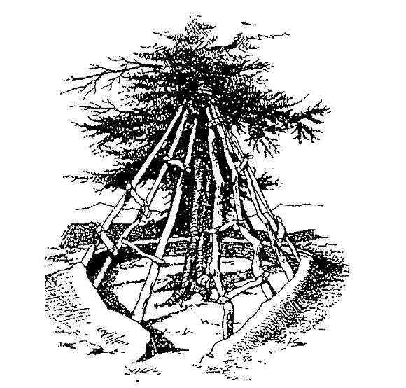shelter 27
