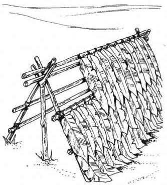 shelter debris hut 0002