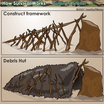 shelter debris hut 0005