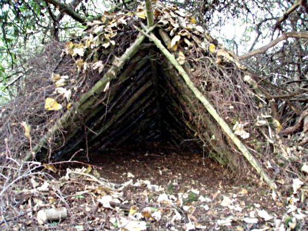shelter debris hut 0006