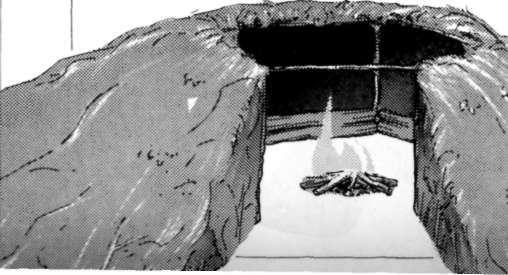 shelter leanto 0001