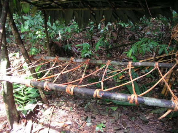 shelter selva 0002