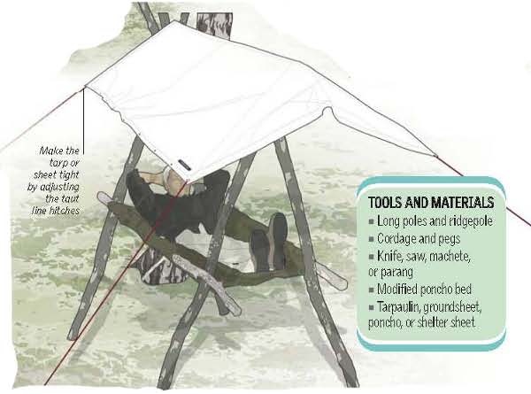 shelter selva 0004