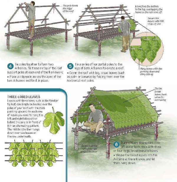shelter selva 0005