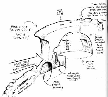 shelter snow 0011