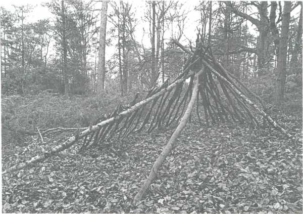 shelter tripod 0001