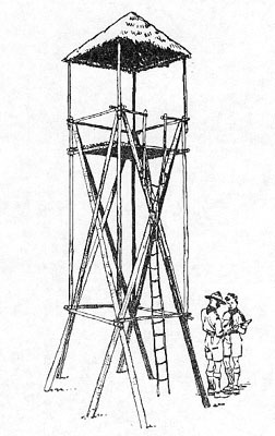 tower lookout